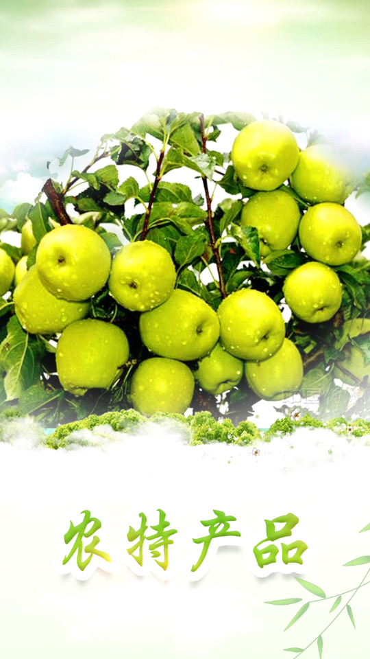 2026纯净小金app官方版 v1.19