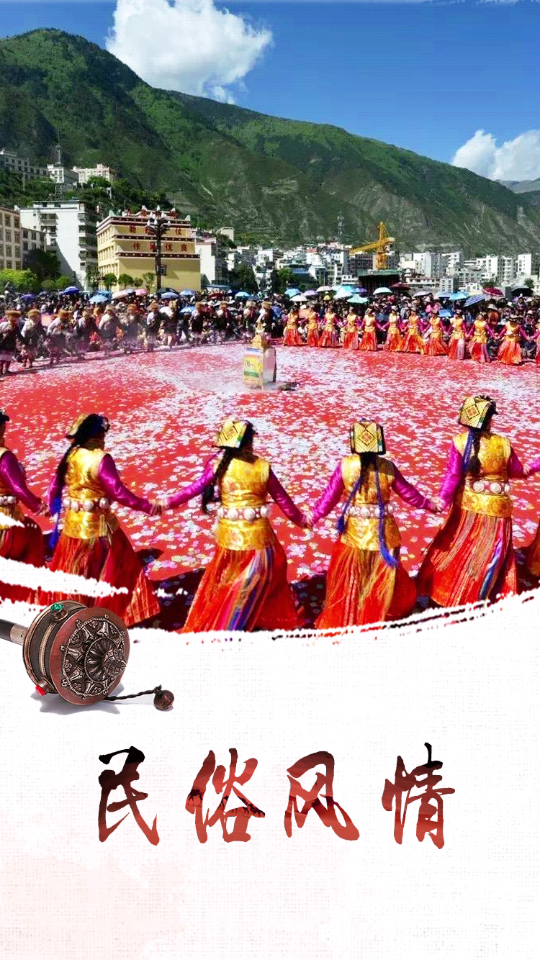 2026纯净小金app官方版 v1.19