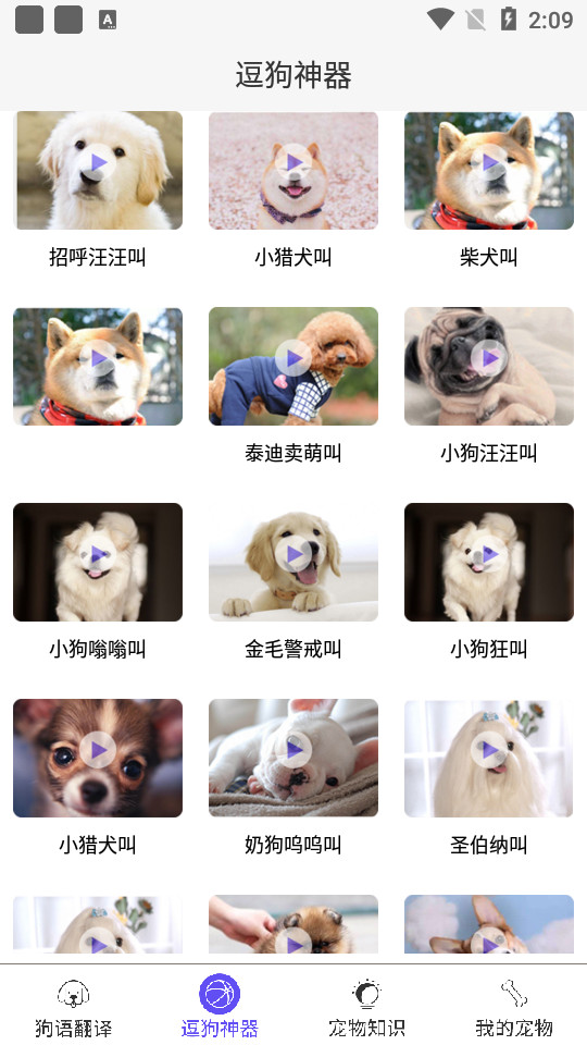 狗语翻译交流器 v1.0.4
