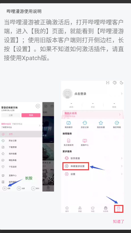 哔哩哔哩内置漫游模块版