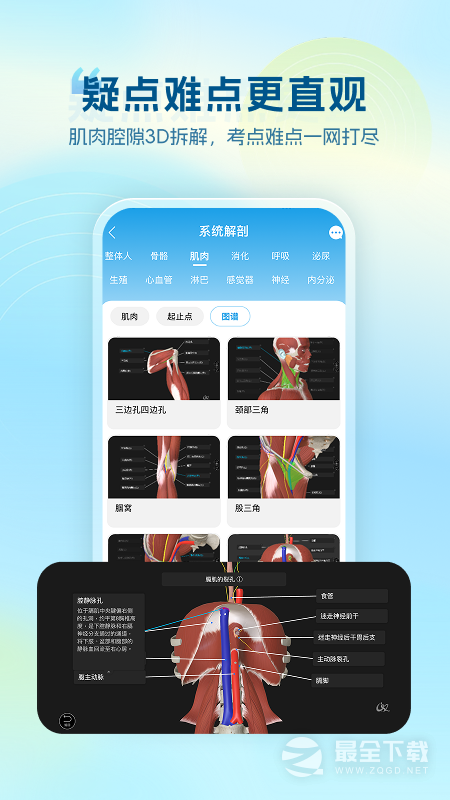 维萨里3D解剖 v6.9.9