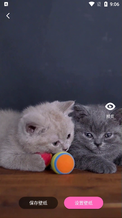 酷琪壁纸app下载官方版 v1.0.0.2