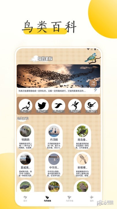 小鸟壁纸大全 v1.2