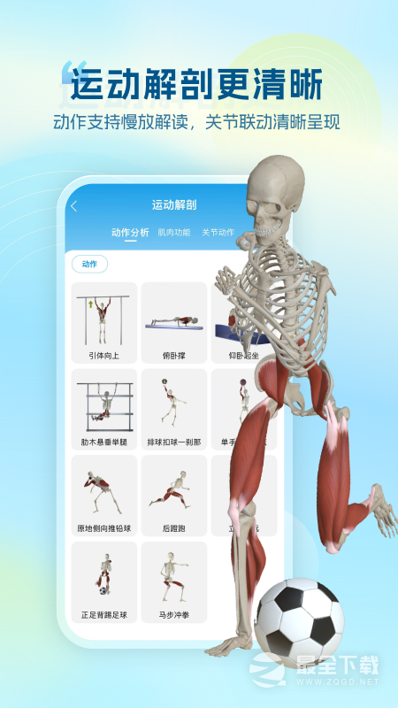 维萨里3D解剖 v6.9.9