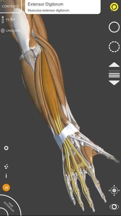 3D Anatomy解锁高级版 v6.8