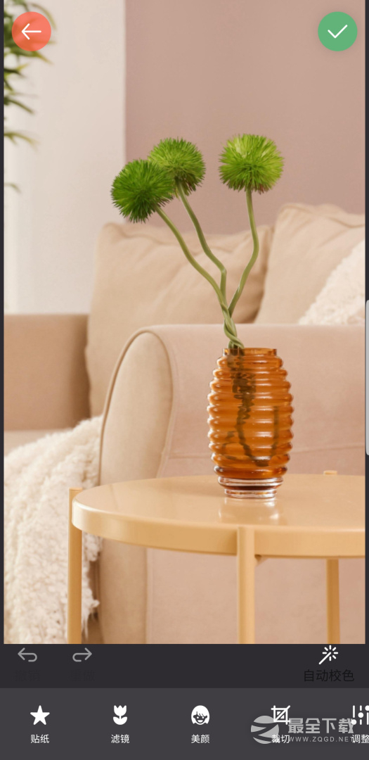 镜像相机 v2026.02.300