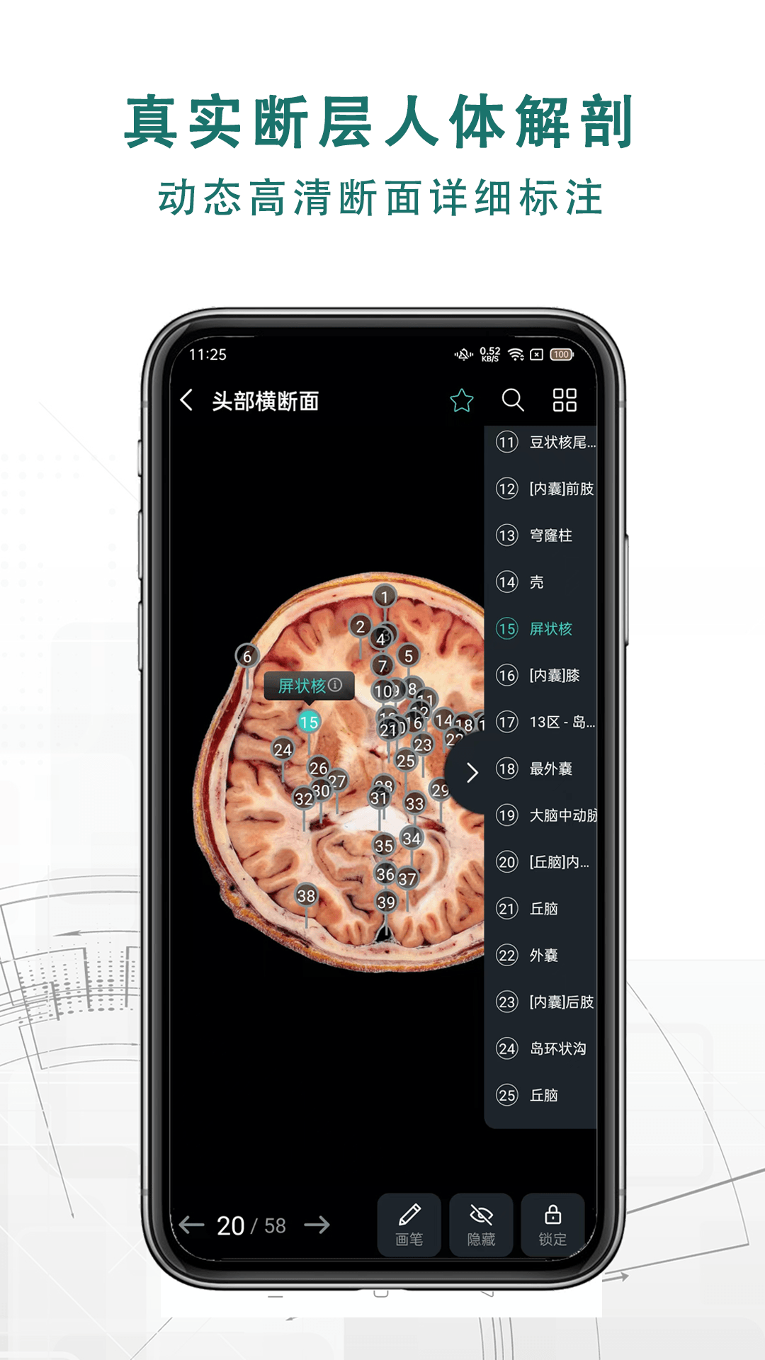 掌上3D解剖软件 v2.4.3