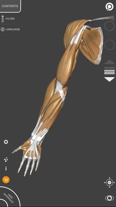 3D Anatomy解锁高级版 v6.8