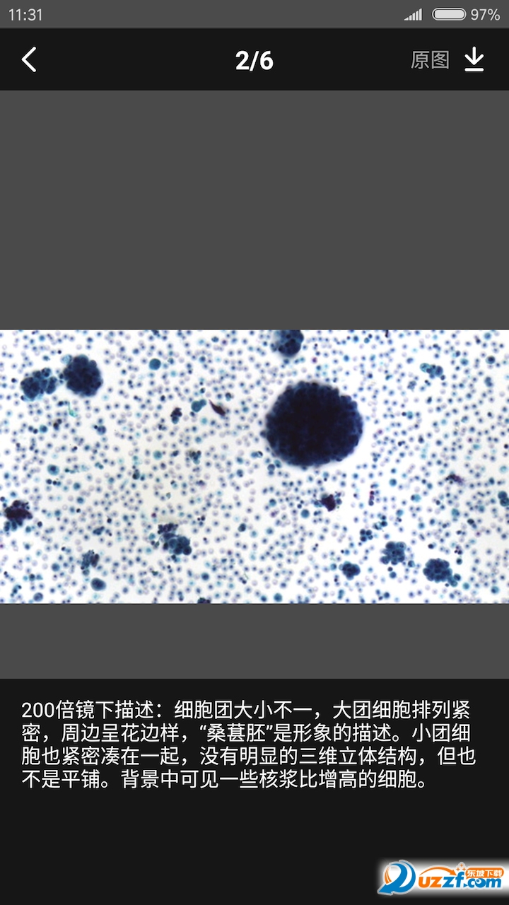 爱病理app v3.4.17