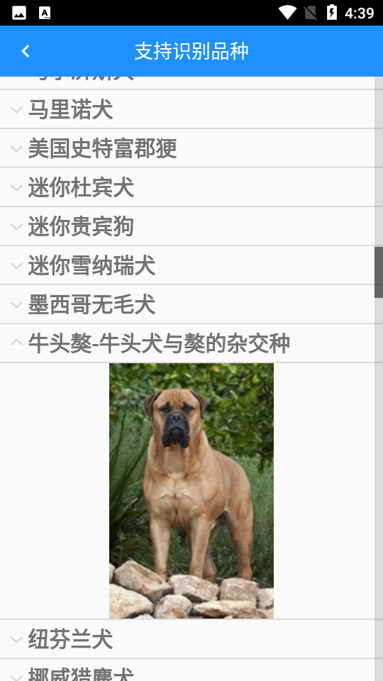 狗狗照片扫描仪APP v1.0.2