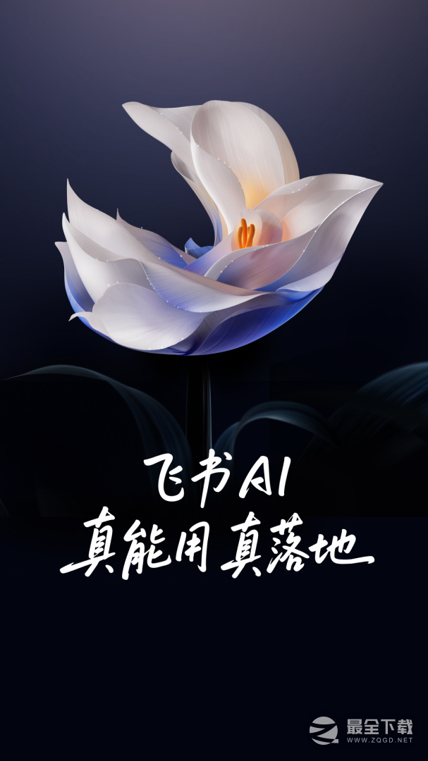 飞书 v7.62.6