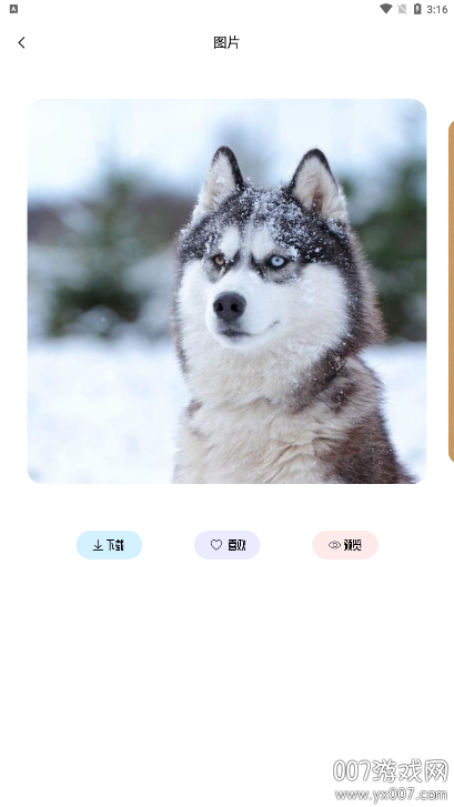 草莓壁纸大全免费下载 v1.7.5