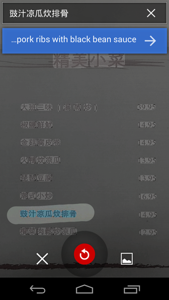 全屏翻译软件app v10.0.36.855137688.3