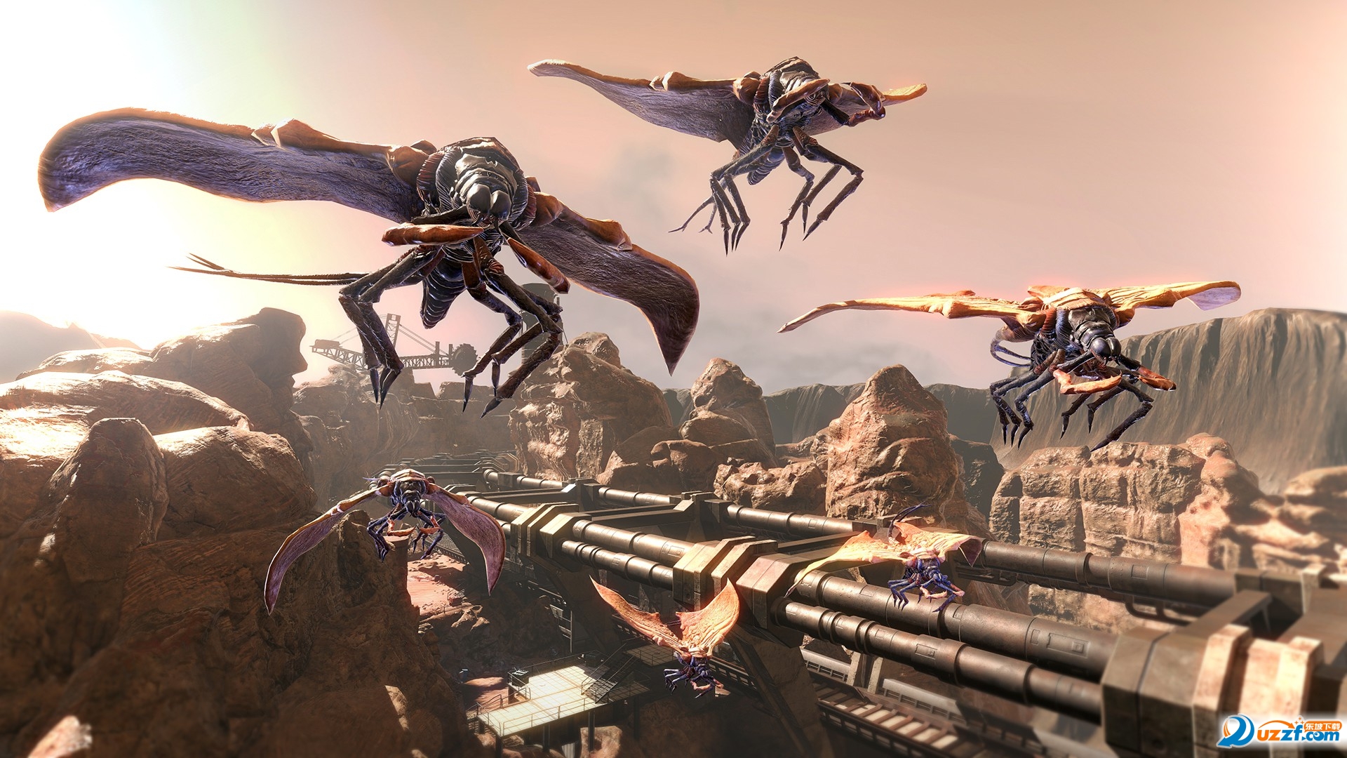 健康海宁app v1.0.01191500