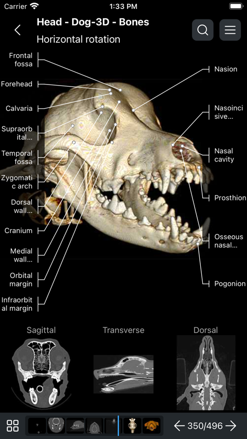 兽医解剖学vetanatomy软件中文版 v4.3.1