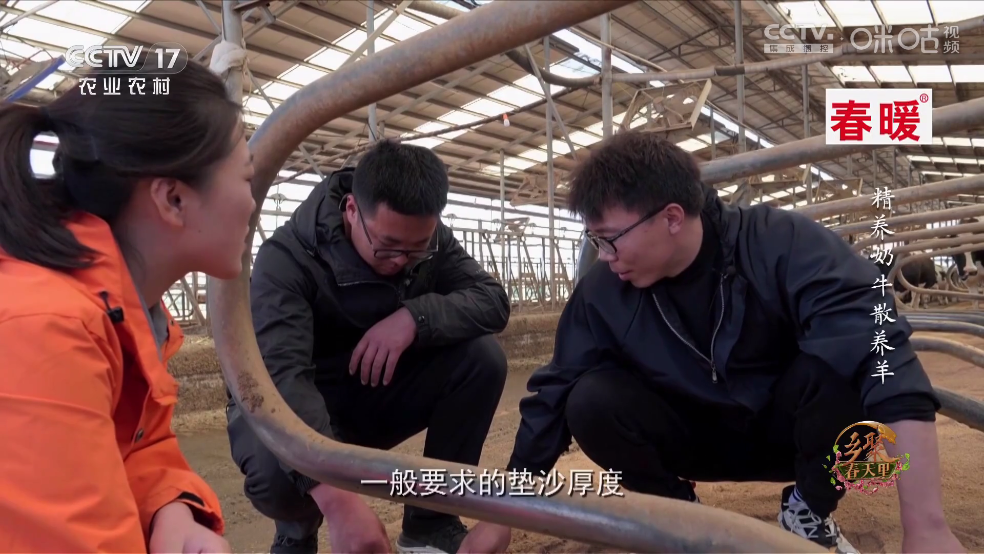 电视家蛇年版v2.0.2.5 v2.0.2.5