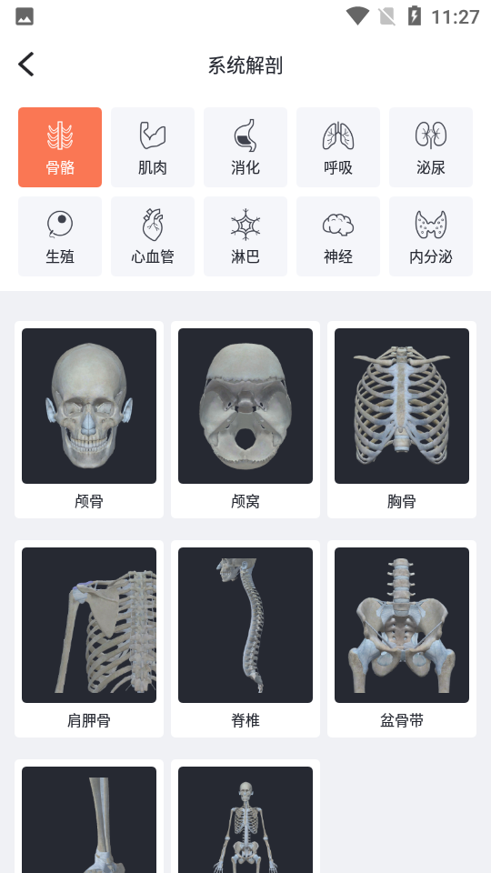 口袋解剖APP v2.1.13