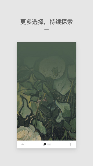 Cutisan壁纸下载官方版 v4.2.1