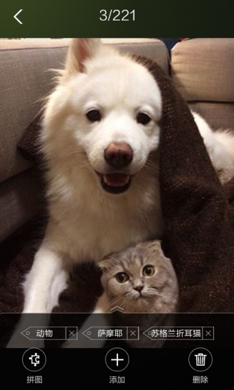 灵犀相册(智能相册管理) v1.0.10