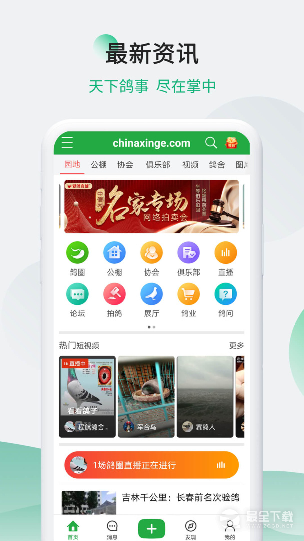 中国信鸽信息网 v20260206