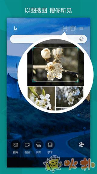 微软bing国际版app v23.5.2110003534