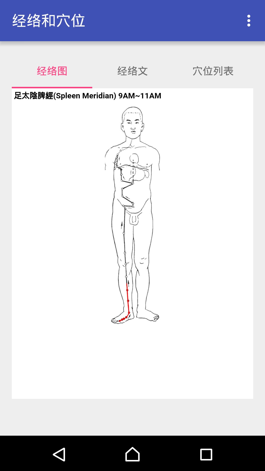 中医经络穴位流注app去广告版 v3.1