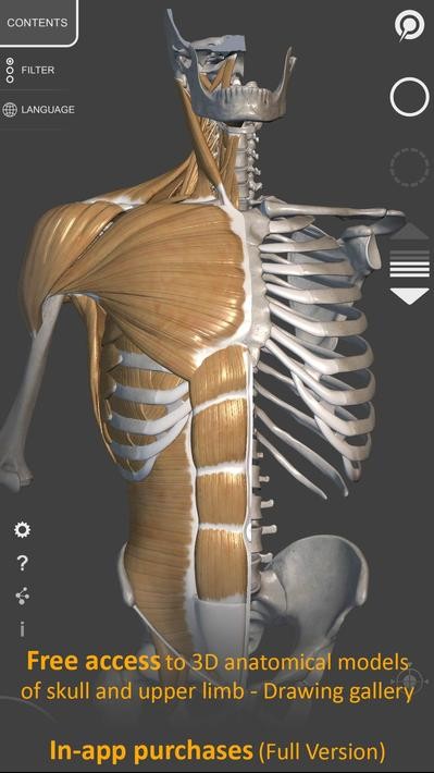 3D Anatomy解锁高级版 v6.8