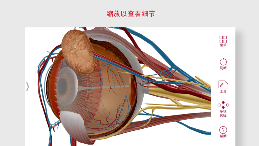 解剖和生理学app(anatomy physiology) v6.2.00
