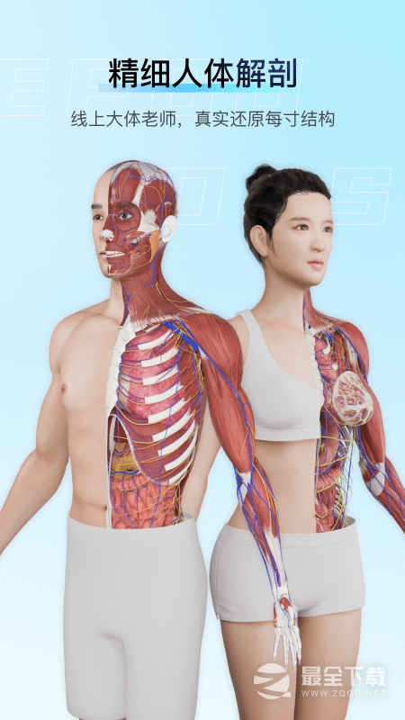 解剖大师 v5.3.0