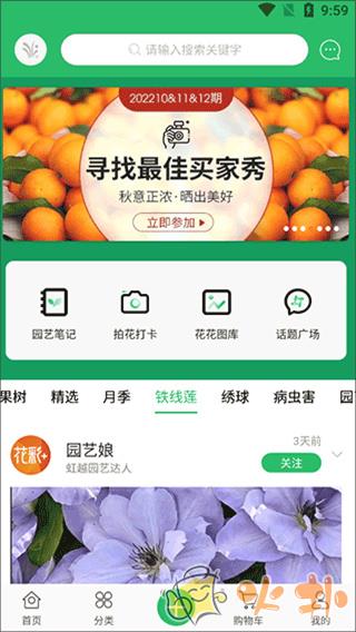 虹越app v3.7.60
