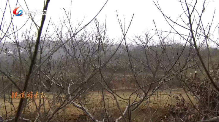 大吉电视tv版(大吉电视 DJDS 央视卫视 新闻体育频道 4K高清直播) v1.3.88