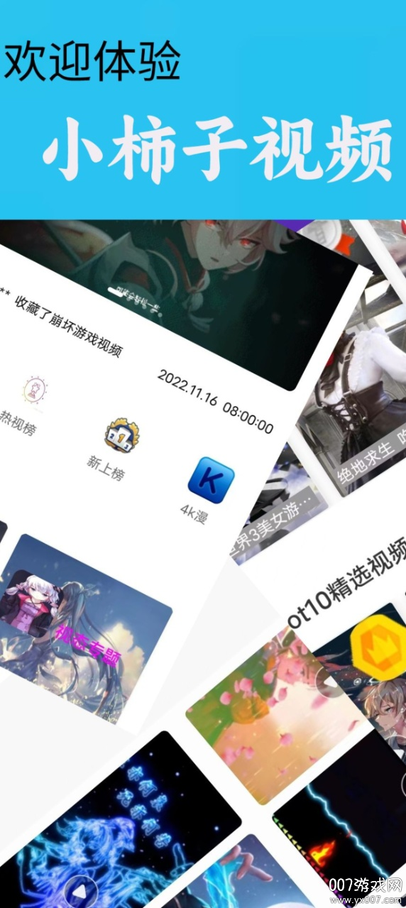 小柿子视频壁纸下载免费版 v0.0.16