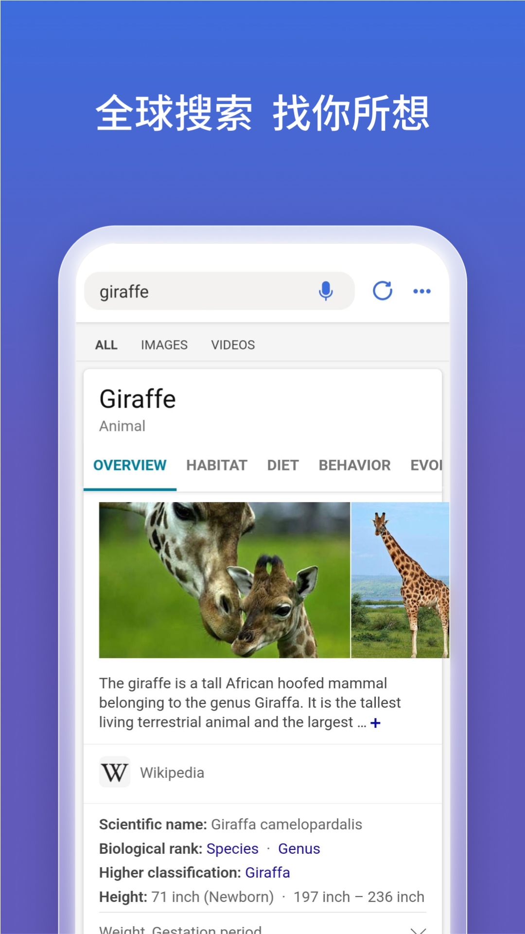 微软new bing软件最新版 v32.4.430924003