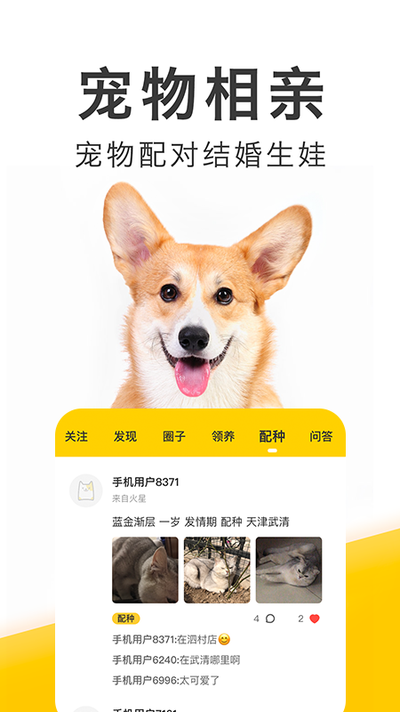 有只宠物app v2.4.0