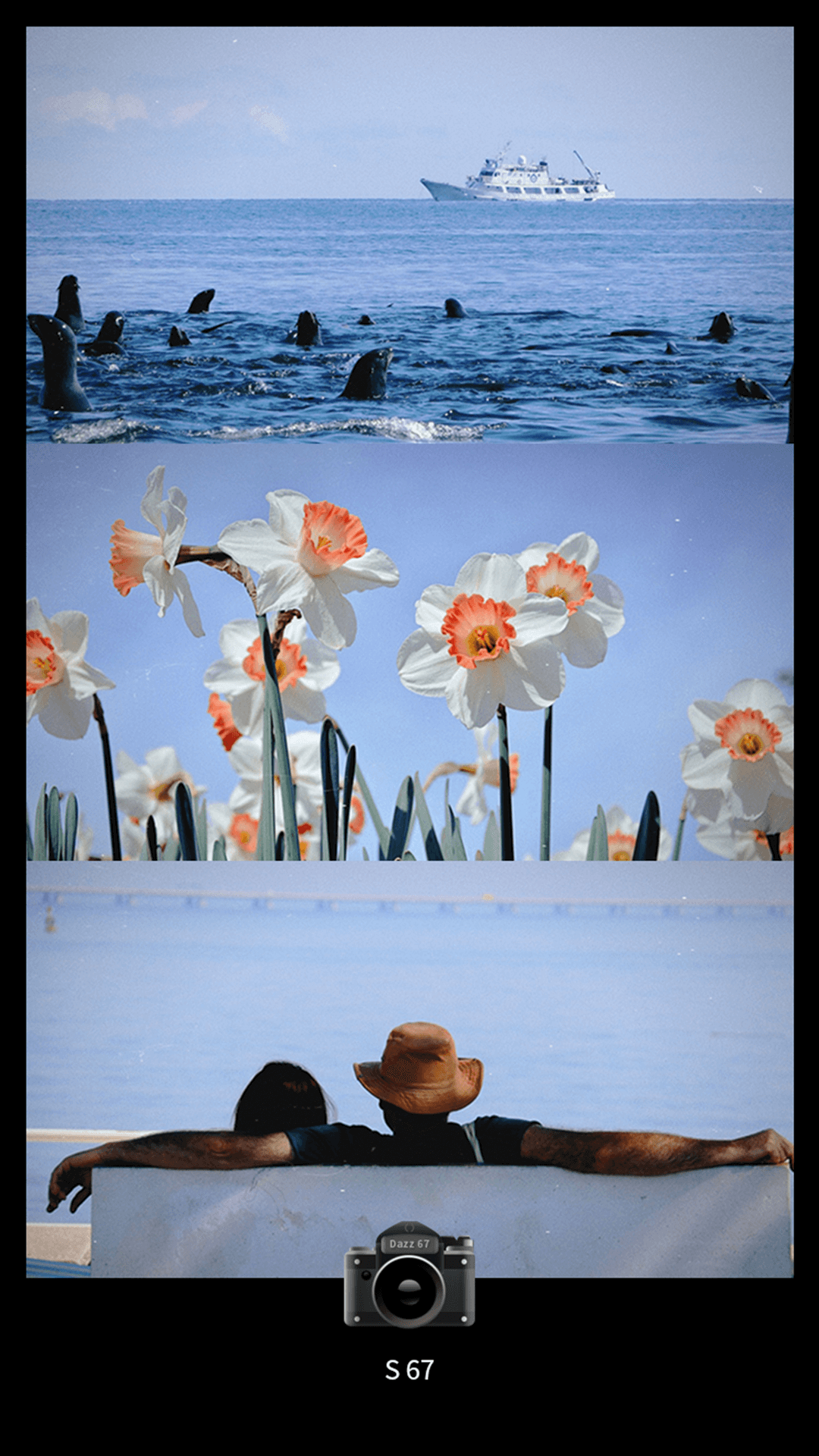 Dazz CCD相机官方下载 v1.0.0