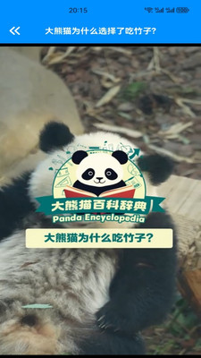 小熊猫CZR手机版下载 v1.3