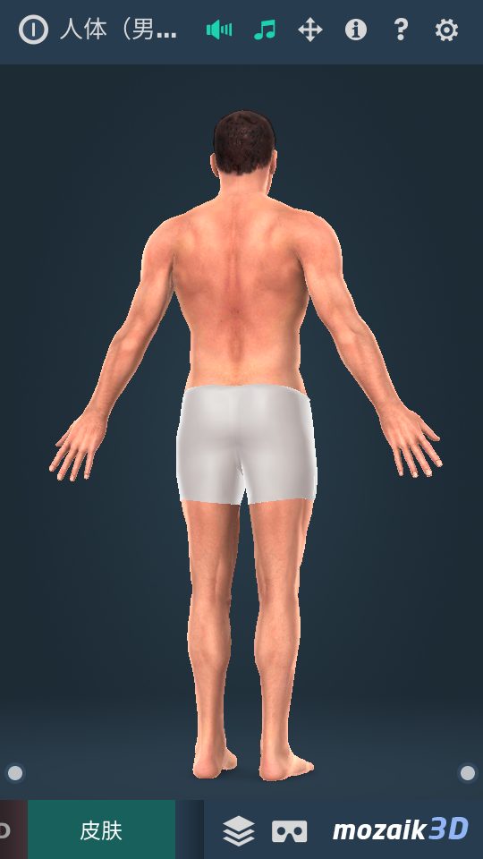3D人体男模型APP v1.24