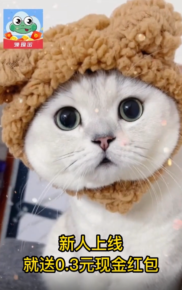 云蛙短视频红包版 v1.0.2