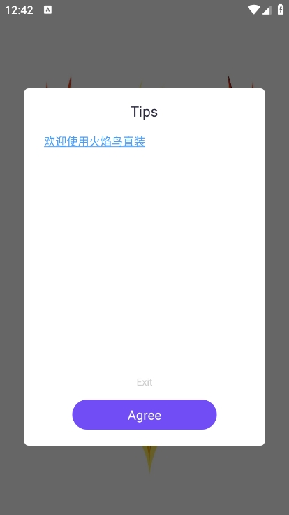 火焰鸟直装5.0容器和平精英下载 v1.0