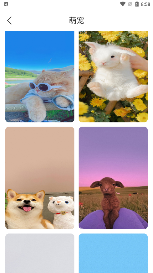 花令壁纸官方下载 v1.0.0