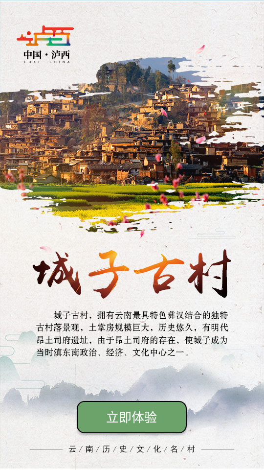 红高原泸西app v3.3.1