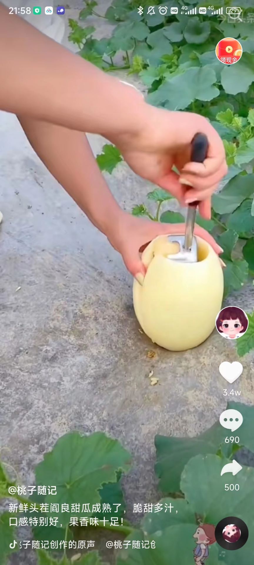 长猿短视频赚钱版 v1.1.2