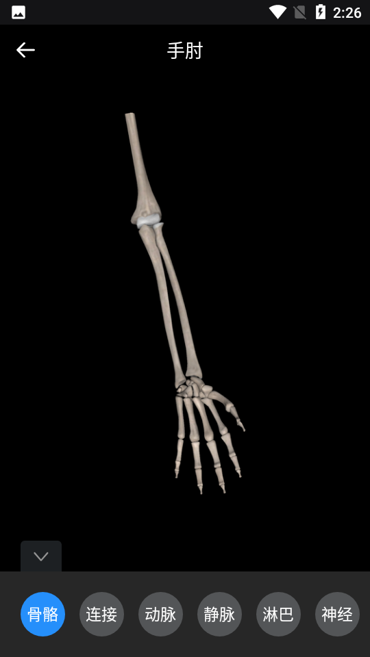 3d人体模型软件 v2.0.0