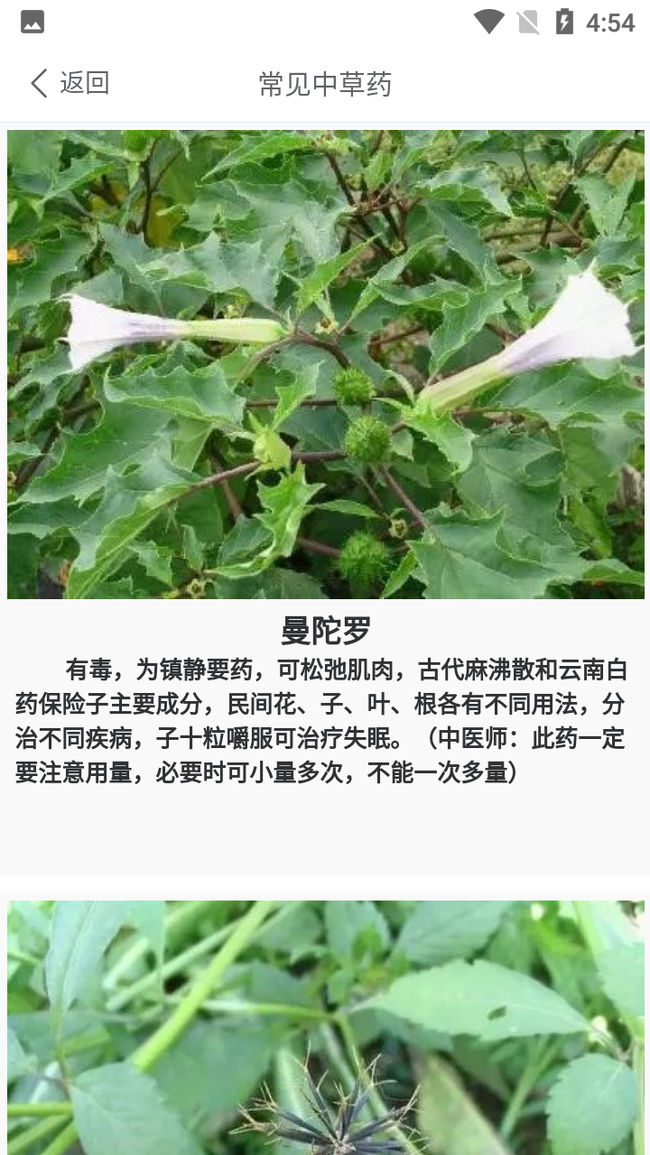 中药养生记中药版 v1.0