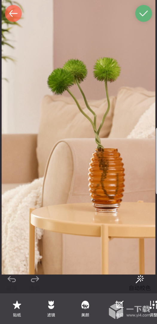 镜像相机 v2026.02.300