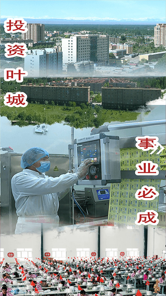 叶城好地方 v1.0.4