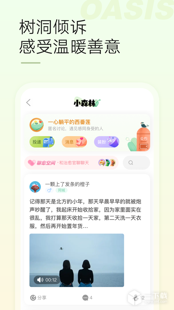 绿洲 v6.5.6