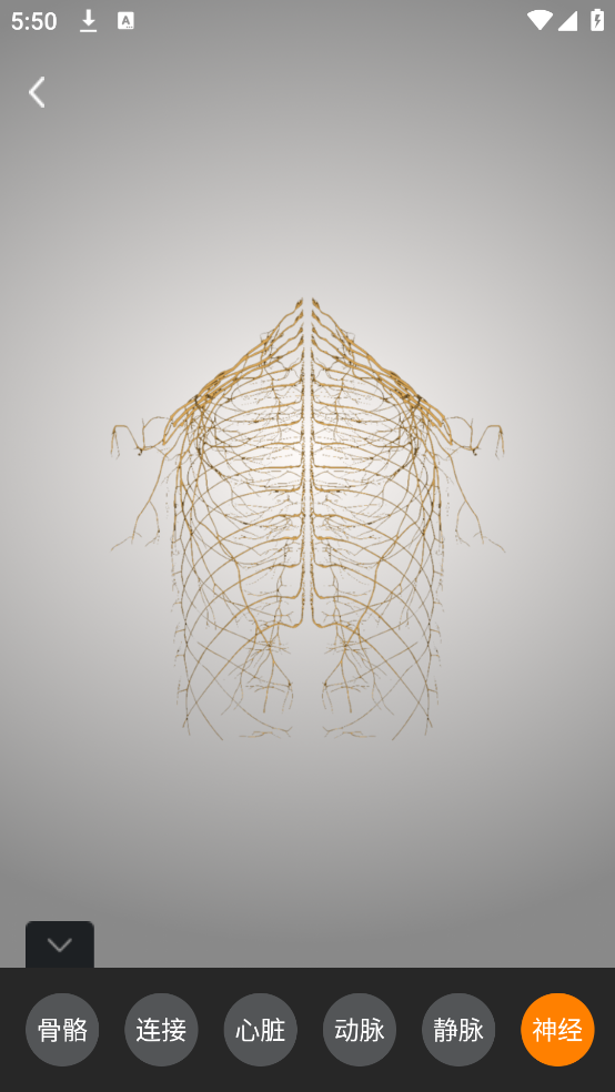解剖学app v1.1.0